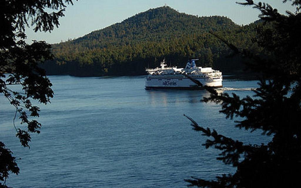 Amara Bed&Breakfast Sidney Bagian luar foto